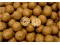 Nutrabaits Cream Cajouser Shelf Life Boilies - Modello 8823