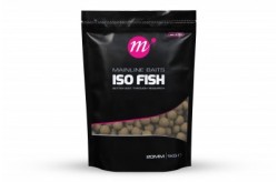 Mainline - Shelf Life ISO Fish - 1kg