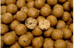 Nutrabaits Cream Cajouser Shelf Life Boilies 